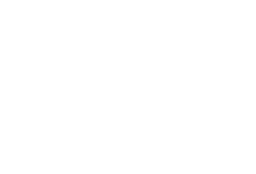 Arista — logo du partenaire technique