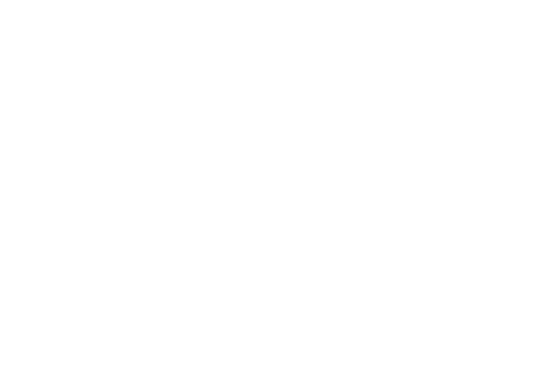 FastNetMon — logo du partenaire technique